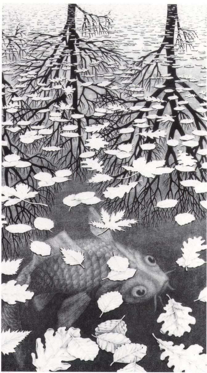 Unknown Artist MC Escher Three Worlds
